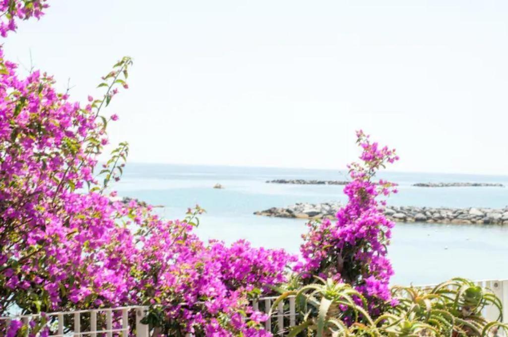 Casa Vacanza Rossella San Remo Extérieur photo