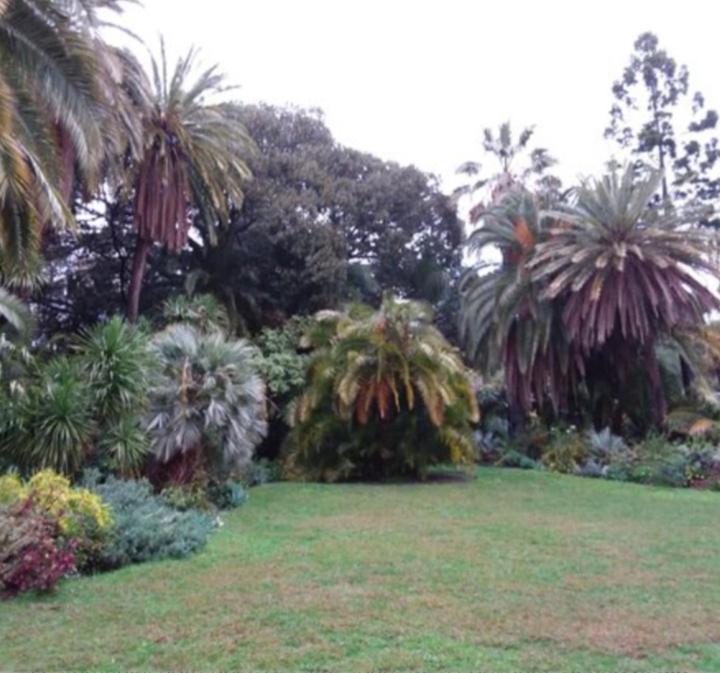 Casa Vacanza Rossella San Remo Extérieur photo